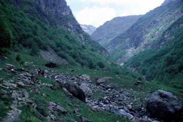 il vallone di salita per il Rifugio Baroni (22-5-1999)