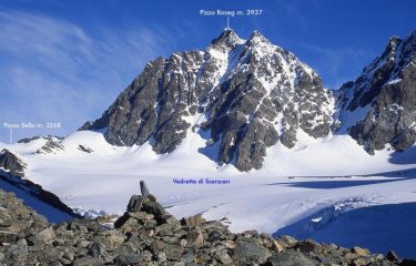 una splendida visuale sul Pizzo Roseg dal Passo Marinelli Occidentale (25-6-1999)