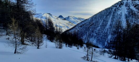 In salita nel rado bosco