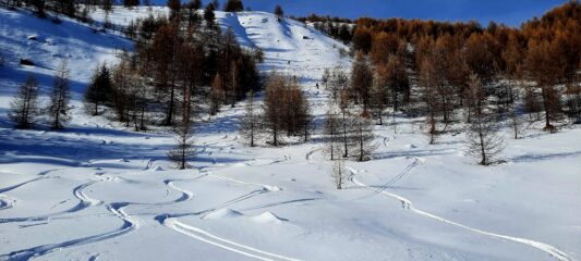 Il tratto migliore in bella farina