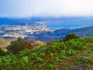 Vado e Savona dalla cima