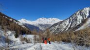 Nel bosco rado: bellissima neve e sciata divertente