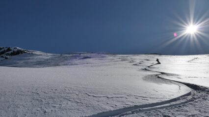 Plateau sommitale