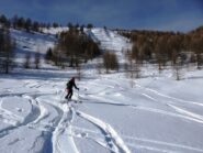 Farina nella parte iniziale del bosco