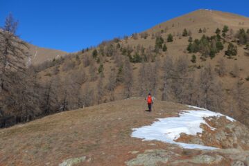 Dalla puntina della Fracho