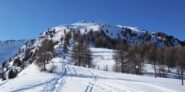 uscendo dal bosco