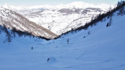 usciti dal bosco