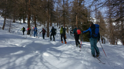 Il bosco Plan Puitz