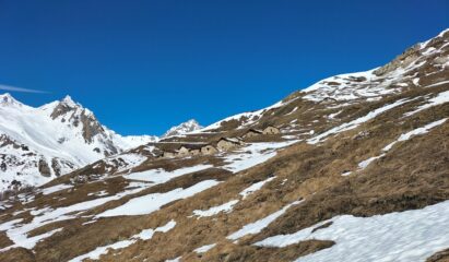 magra purtroppo se non nevica siamo alla frutta.