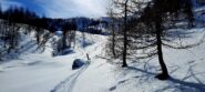 Nel bosco la musica non cambia