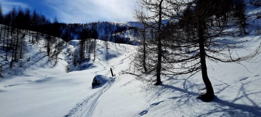 Nel bosco la musica non cambia