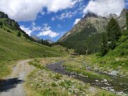 Il Vallone di Vallanta sovrastato dalle Rocce di Viso