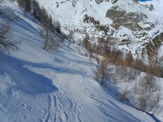 Nel rado lariceto verso la strada