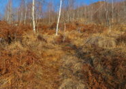 Bivio per il Monte Corno.