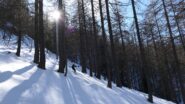 Nel bosco verso Garino