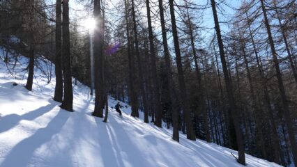 Nel bosco verso Garino