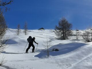 oggi vento