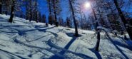 Bosco della Bandia in neve super!