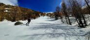 Nonostante il caldo neve ottima anche nel rado lariceto