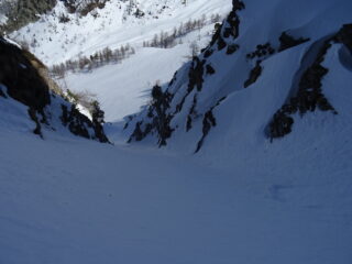 Budellino di sx visto da sopra