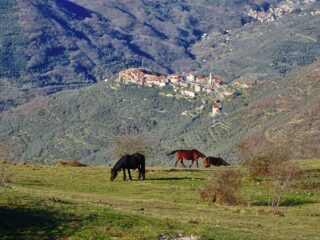 Incontri, scendendo verso Torria