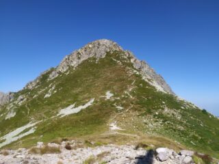 Il Pizzo d'Ormea dal ripetitore