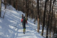 tratto iniziale nel bosco, sopra l'abituale stradina  