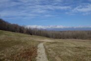 Alla Cava Barbera, bel panorama sulle Alpi