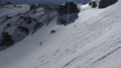 Discesa nel vallone Ciaplere del Seirasso