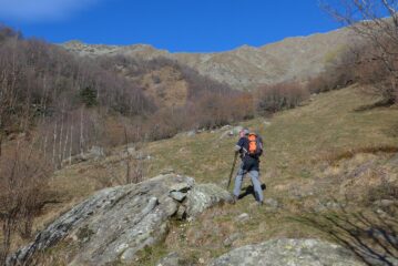 Usciti dal bosco