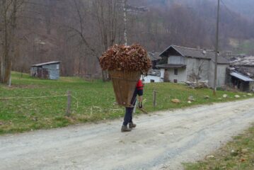 Lavori antichi, a raccogliere foglie con il garbin