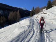 Sulla strada per l’Alpe Bruns 