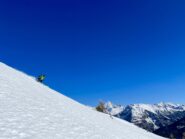 Ancora bella neve su pendii sud 