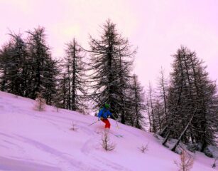 Farina abbondante nel bosco