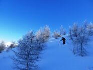 Farina inattesa in un inverno con poca neve...