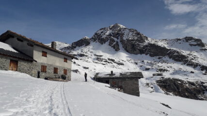 l'arrivo all'alpe Palasina..