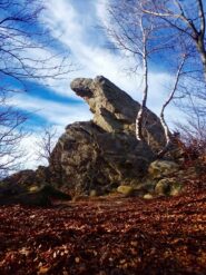 la roccia a forma d'aquila ,sul percorso prima del Passo Ceresole