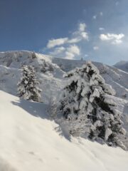 A lato della Pista Alpino 