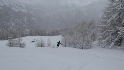 Cabane  de  l'Arpillon