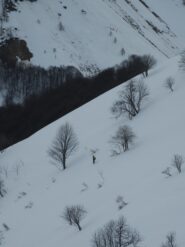 Oscar nel traverso sotto il Gorfi