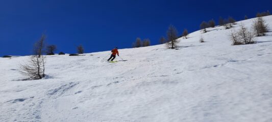 Neve ancora splendida alle 14 anche su Costa Rasis