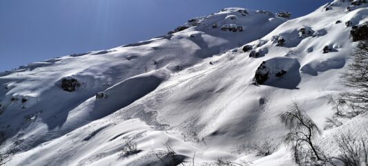 Buon innevamento appena fuori dal bosco.