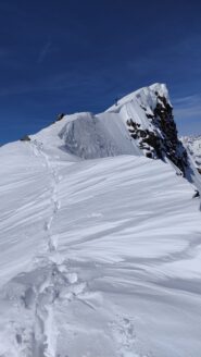 cresta sud dell'anticima 