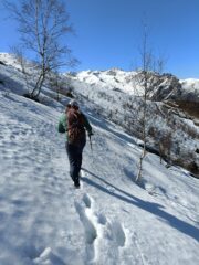 Discesa su neve sfondosa ( anche 1 metro)