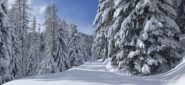 Lungo la strada presso l'area attrezzata 