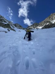 La iena della val Sangone.