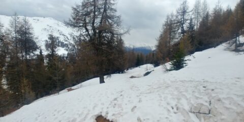 situazione neve a 2100 m