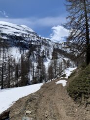 Tenersi a sinistra scendendo, nel bosco