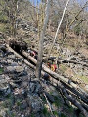 Attuale condizione del Sentiero di rientro con gli alberi abbattuti.