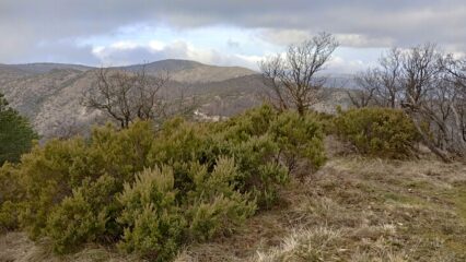 Il Bric dei Gorrei visto dal Poggio